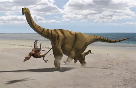 20 Interesting Dinosaur Facts Answers Africa Largest Dinosaur