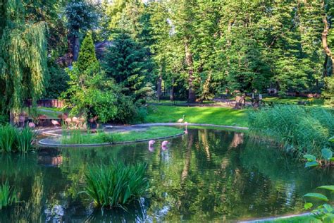 Maybe you would like to learn more about one of these? Warschau - Warschauer Tierpark | MyCityTrip.com