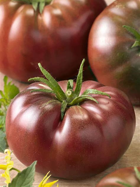 Tomato Chefs Choice Black F1 All America Selections