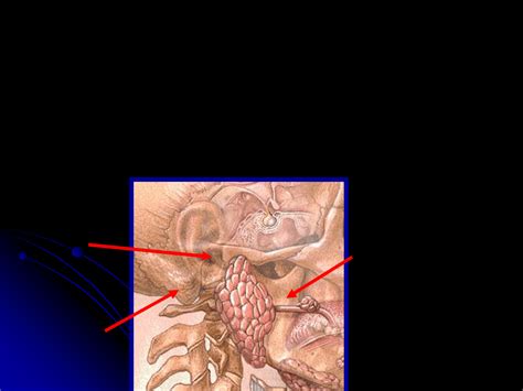 Apunte Apuntes Y Seminarios Nutrición Medicina Filadd