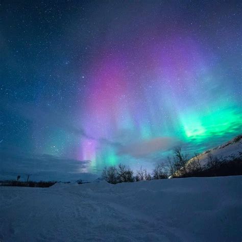 the best place to see the northern lights in norway journey magazine