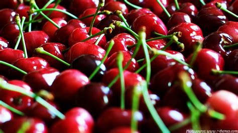 Interesting Facts About Cherries Just Fun Facts