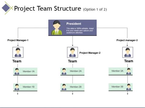 Project Team Structure Template 1 Ppt Powerpoint Presentation Model