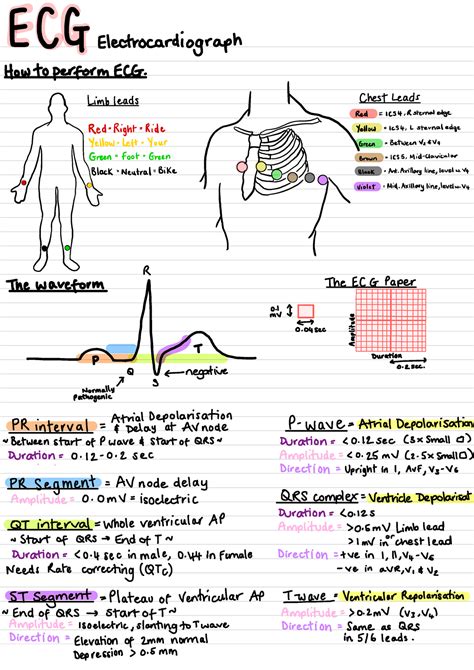 Ecg The Full Guide £ G Electrocardiograph How To Perform Ecg
