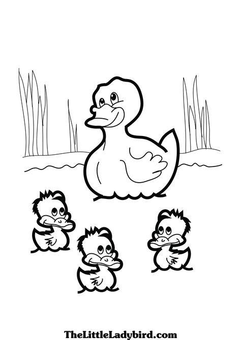 Baby Duck Coloring Pages At Free Printable Colorings