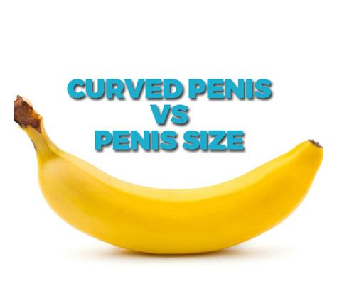 Curved Penis Vs Penis Size