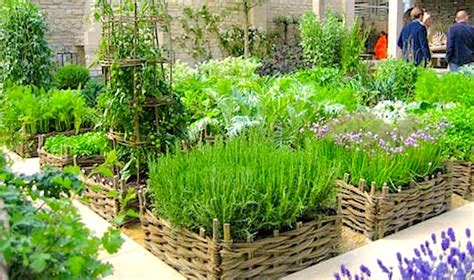 Herb Gardening Container Gardening