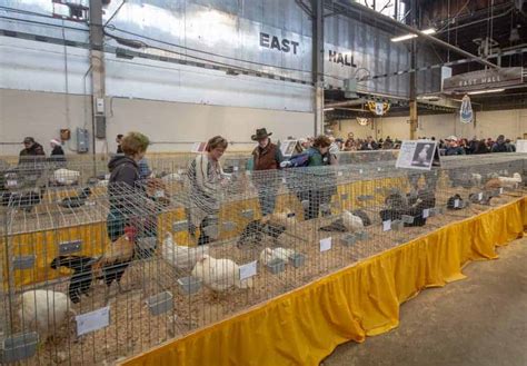 The Pennsylvania Farm Show In Harrisburg Everything You Need To Know