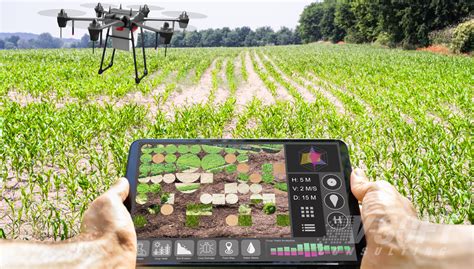 How Ai Is Transforming The Agriculture Industry