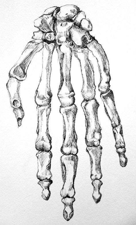 Drawing Hand Skeleton Sketch 24 Ideas Skeleton Drawings Skeleton Art