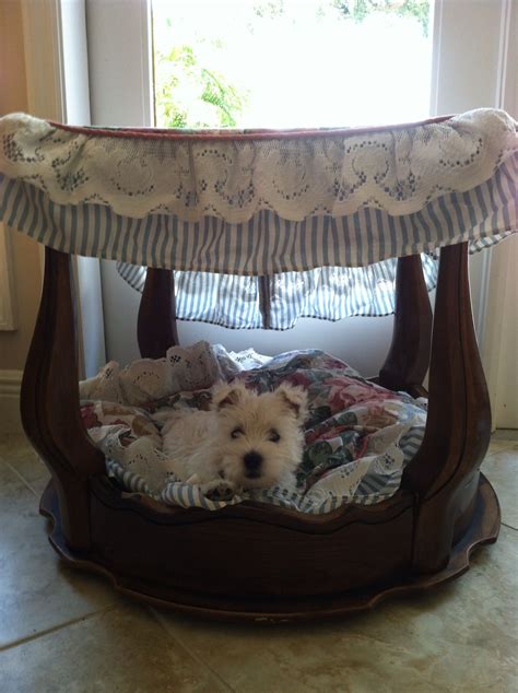 Pin By Jennifer Morgan On Summer Projects For The Puppies Dog Canopy