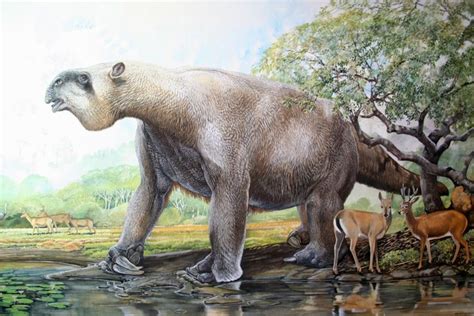 prehistoric giant ground sloth megatherium americium with pampas deer ozotocerus bezoacticus