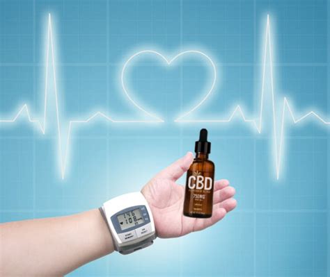 Can Cbd Help Lower Your Blood Pressure New Medical Studies Show Promise