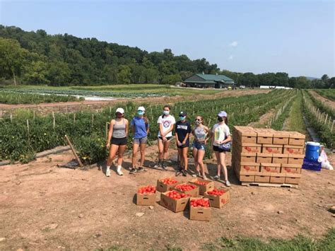 Girl Scout Senior Troop 94962 Spent A Day At Grow Renna Media