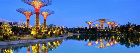 Under The Angsana Tree Discover Singapore Gardens