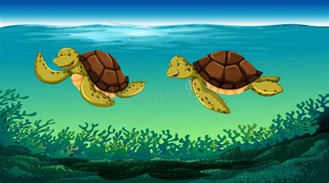 Two Turtles Swimming Under The Sea Stock Vector Illustration Of