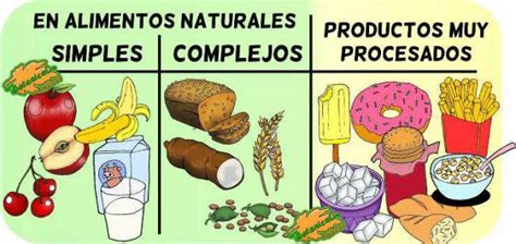 Tipos De Carbohidratos Botanical Online