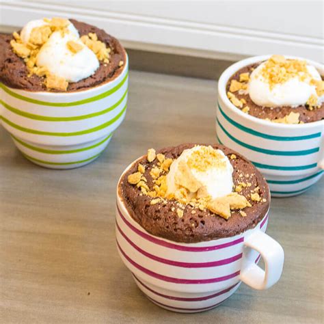 Smores Mug Cake Recipe Seattles Best Coffee