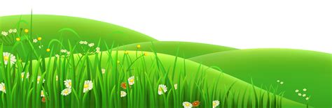 Meadow Euclidean vector Clip art - Transparent Flowers and Grass PNG png image