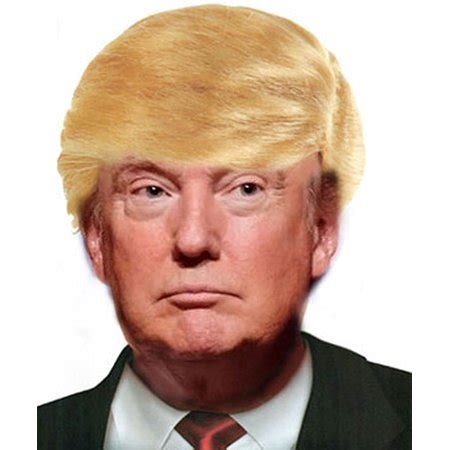Was donald an attractive young man during the 70's and 80's or, as some say, one of the most personally unpleasant and insulting people on earth. Donald Trump Wig Costume Blonde Comb Over Wig Hair Mr ...