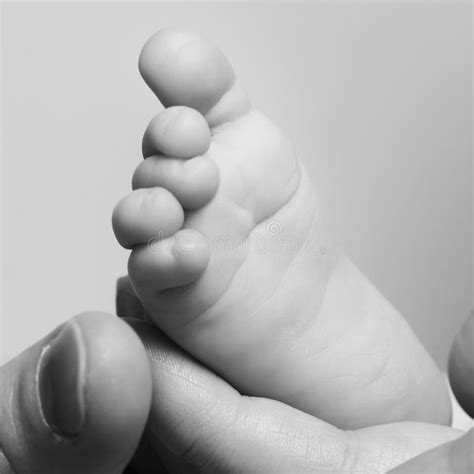 Baby S Foot Stock Image Image Of Small Parenthood Affection 36904273