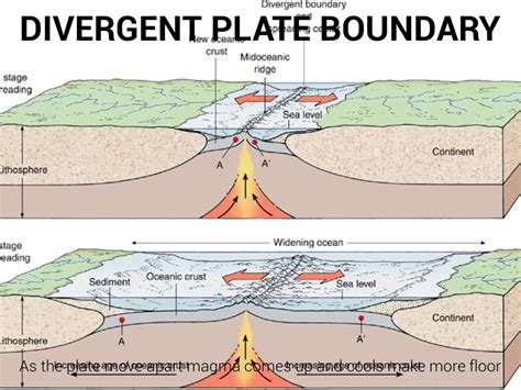 Plate Tectonics By Zach Duncan