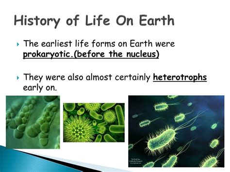 Ppt Early Origins Powerpoint Presentation Free Download Id2663079