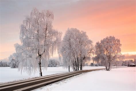 Sunlight Sky Winter Road Trees Nature Landscape Snow Wallpaper And