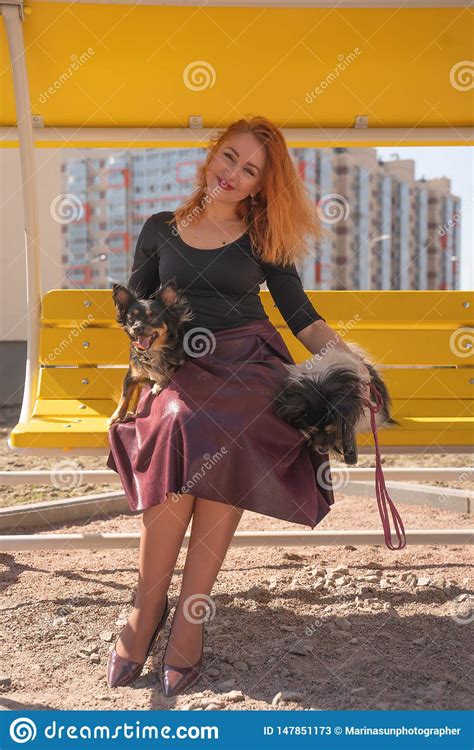 H Bsche Gl Ckliche Redheaded Frau Mit Zwei Wenigen Hunden Auf Der Gelben Sommerbank Stockbild