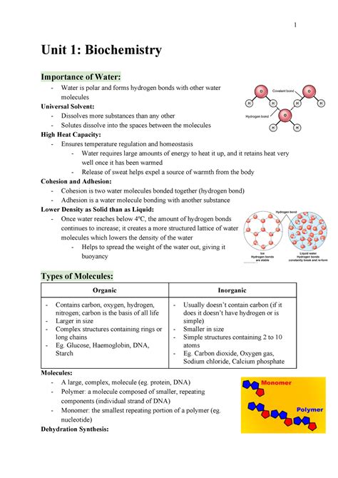 Sbi4u Biochemistry Notes Unit 1 Biochemistry Importance Of Water