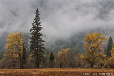 Yosemite Np Daniel Leu Photography
