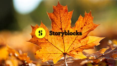 Slideshow Logo Animation Template Sbv 324034862 Storyblocks