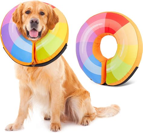 Dog Donut Collar Bienbee Dog Cone Alternative After