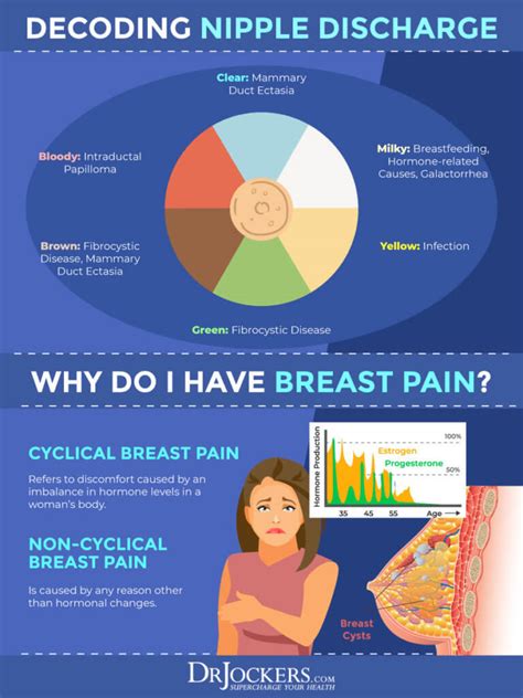 Fibrocystic Breast Changes Causes Symptoms And Support Strategies
