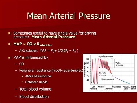 Mean Arterial Pressure Calculator Mean Arterial Pressure Definition