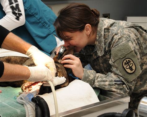 Mwd Receives Clean Bill Of Health Barksdale Air Force Base News