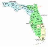 Bankruptcy Case Search Florida Photos