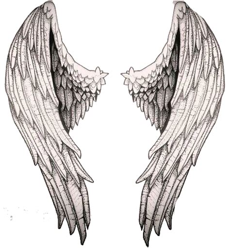 Pin By Abby Young On Coisas Para Usar Nas Fotos Wings Sketch Wings