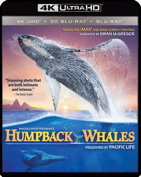 humpback whales [includes digital copy] [4k ultra hd blu ray blu ray] [2015] best buy