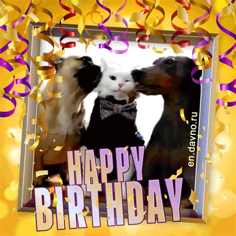 Happy Birthday Dog And Cat Images