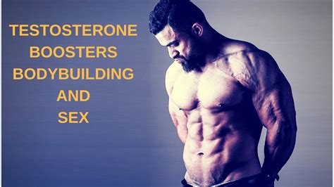 Testosterone Bodybuilding And Sex Youtube
