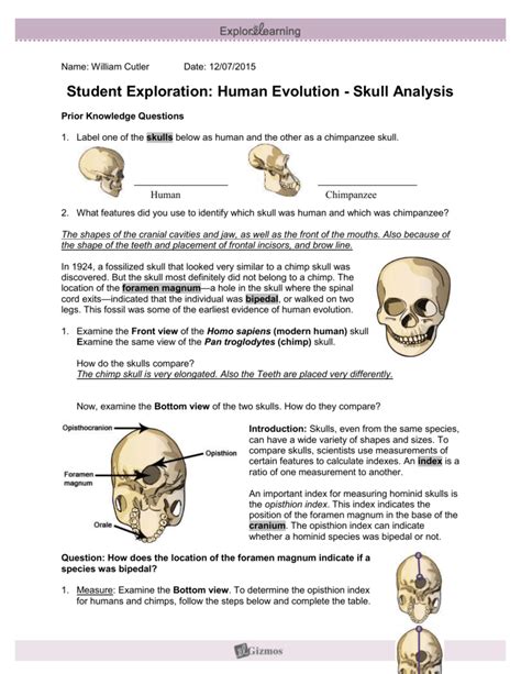 Mapping of the full chromosome set of the nucleus of a cell. Human evolution skull analysis gizmo answer key activity c ...