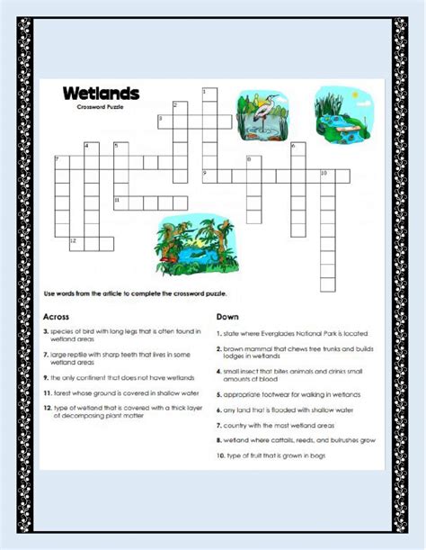 importance  wetlands worksheet