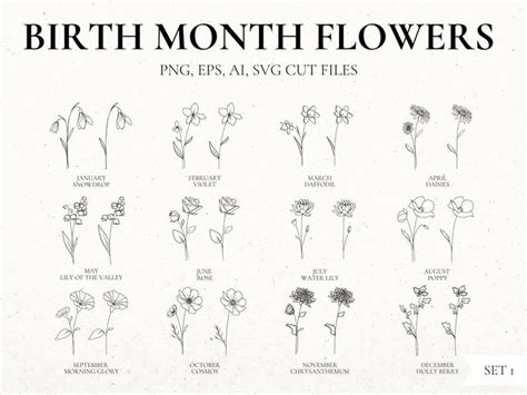 Birth Month Flower Svg Bundle Hand Drawn Flower Flower Stencil