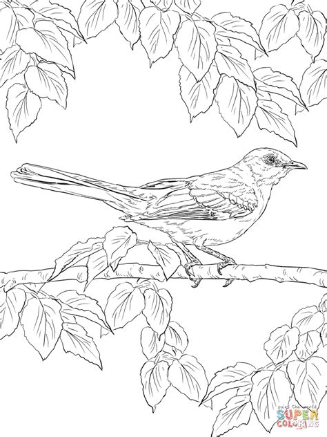 Gambar Realistic Northern Mockingbird Coloring Page Free Printable
