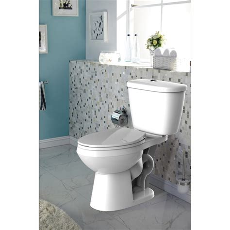 Aquasource Drp Elongated Ch Dual Tankbowl In The Toilets Department At