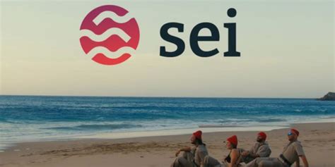 Run A Sei Node Your Guide To Running A Full Node On Sei By Crypto T