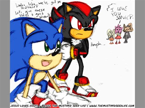 Shadow The Hedgehog And Amy Rose In Love