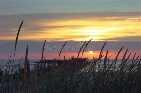 Calm Sunset Over The Sea With Grass In Front Stock Image Image Of