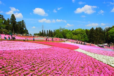 埼玉県の観光スポット59選。地元民が教える、ダさいたまなんて言われない素敵な場所。 - JPTRP.COM